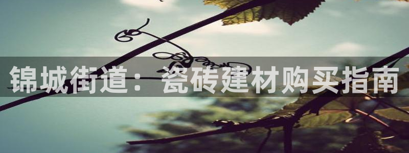 杏鑫登录注册测速