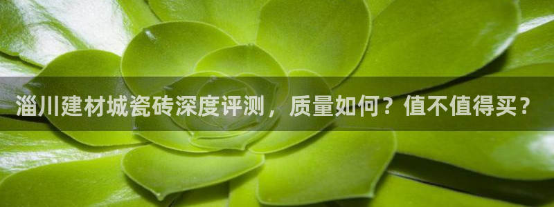 杏鑫官方平台怎么样啊安全吗