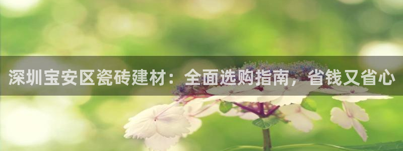 杏鑫平台招商怎么样