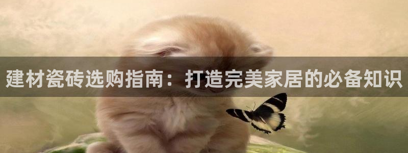 杏鑫娱乐是真的吗还是假的