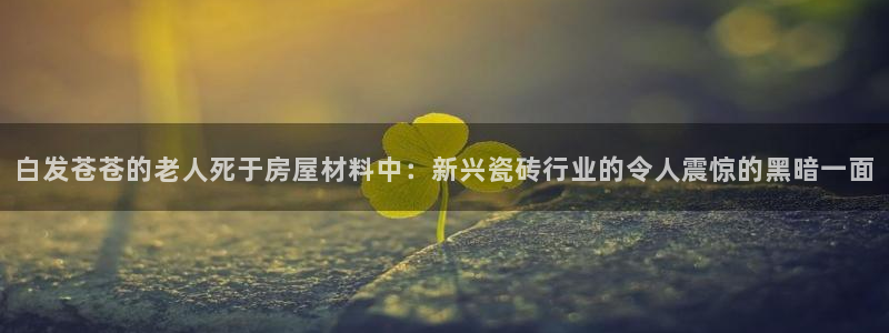 杏鑫平台平台