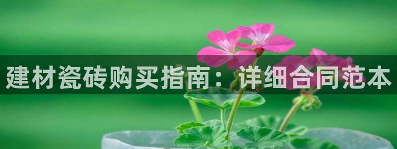 杏鑫娱乐官网登录不了