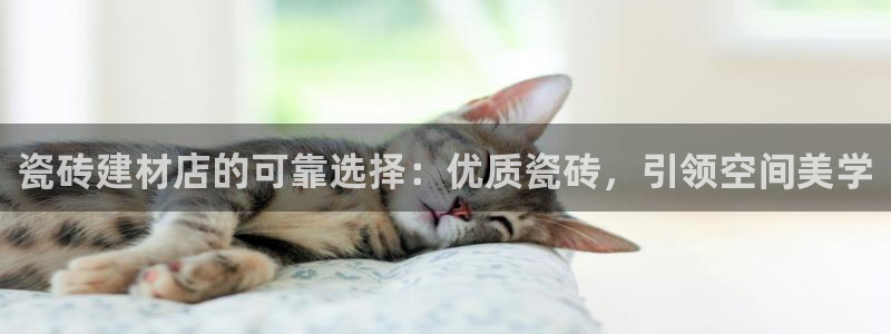 杏鑫平台登录地址在哪