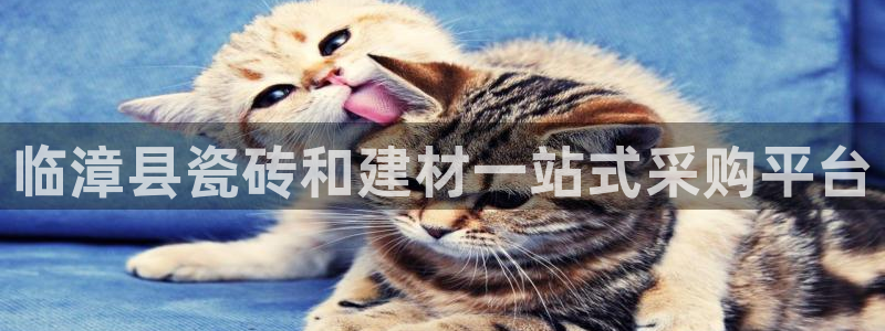 杏鑫平台招商怎么样