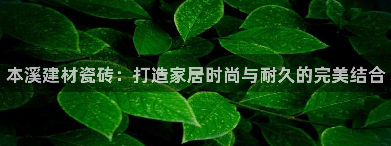 杏鑫官方平台怎么样啊安全吗