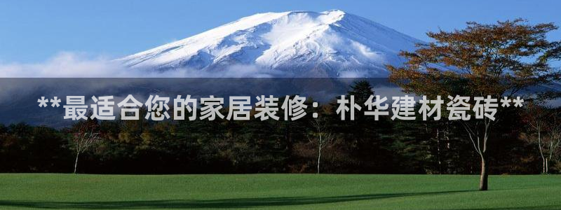 杏鑫平台注册地址是哪里