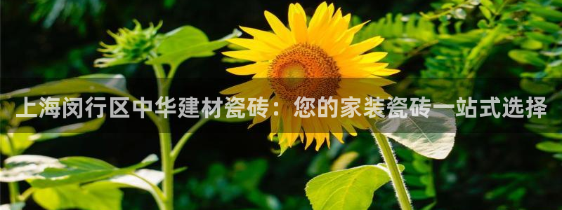 杏鑫娱乐是合法的吗是真的吗
