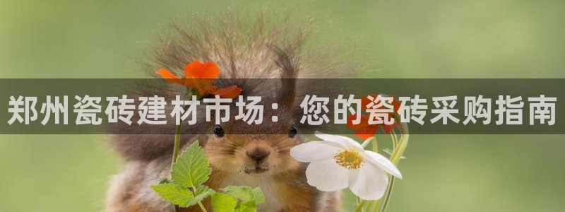 杏鑫官方平台怎么样啊知乎