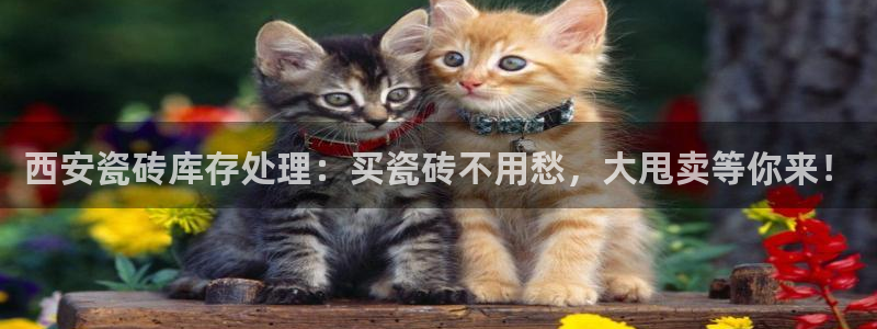杏鑫娱乐官方网站客户端