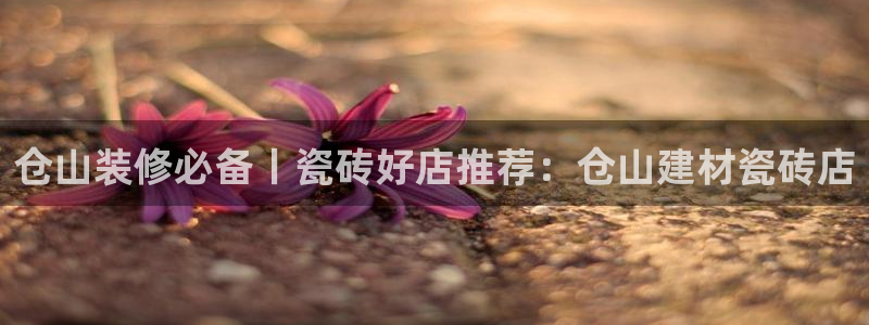 杏鑫娱乐平台登录注册网站