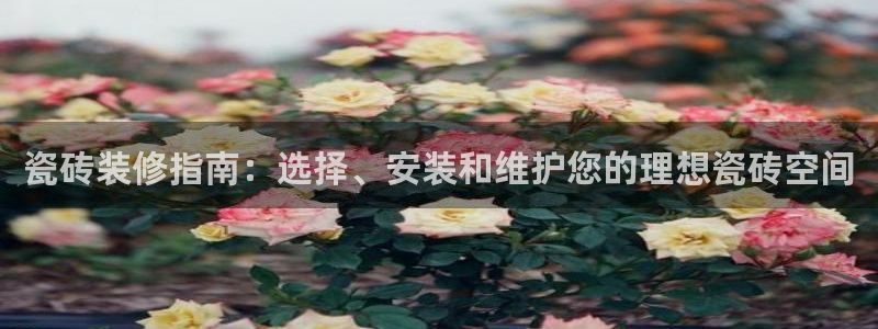 杏鑫平台注册入口在哪里找