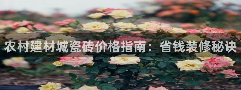 杏鑫手机客户端