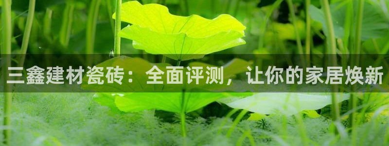 杏鑫平台代理注册