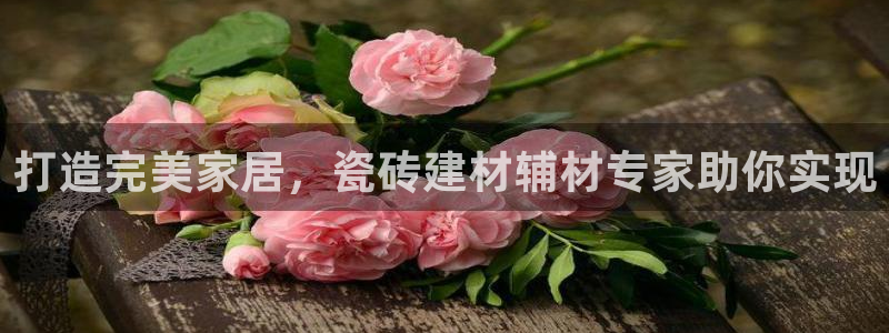 杏鑫平台代理注册多少钱