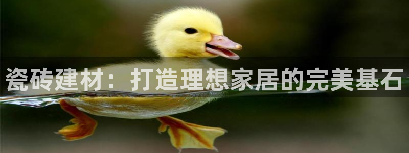 杏鑫平台注册入口在哪