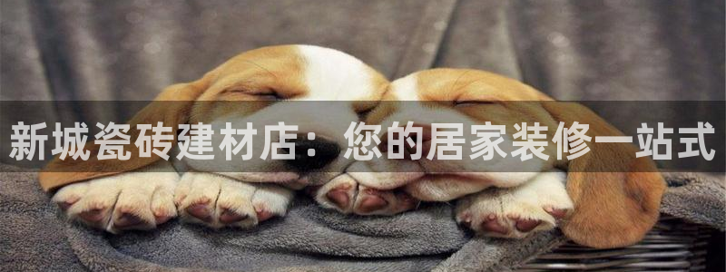 杏鑫注册登陆