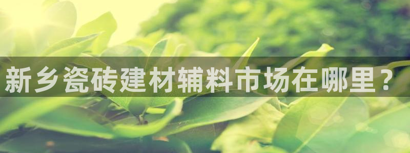 杏鑫注册登录代理公司
