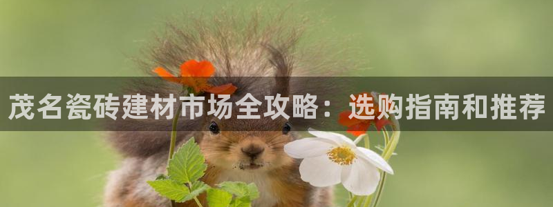 杏鑫平台登录地址是什么