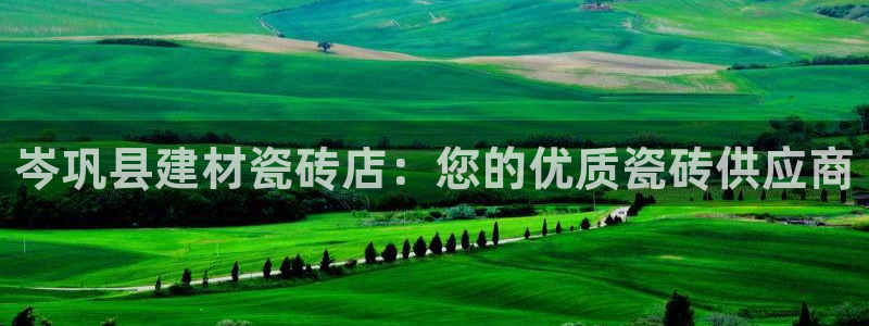 杏鑫平台代理注册流程及费用