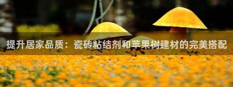 杏鑫平台登录地址在哪