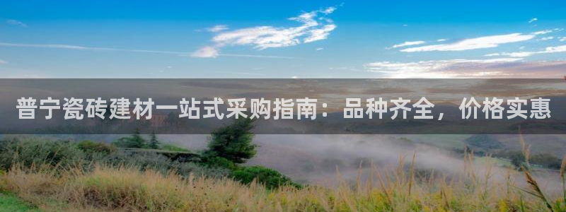 杏鑫主管