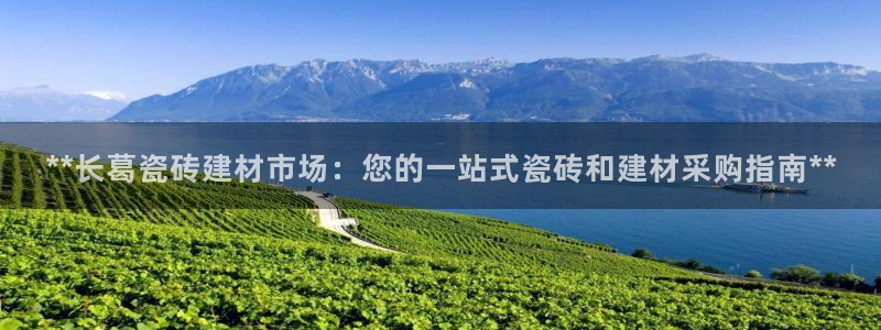 杏鑫平台登录