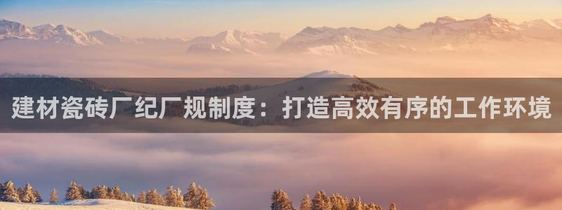 杏鑫平台代理注册流程图