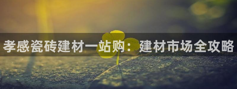杏鑫平台代理怎么样