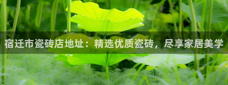 杏鑫娱乐官网下载
