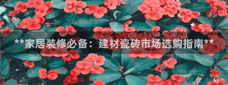杏鑫平台在线注册流程