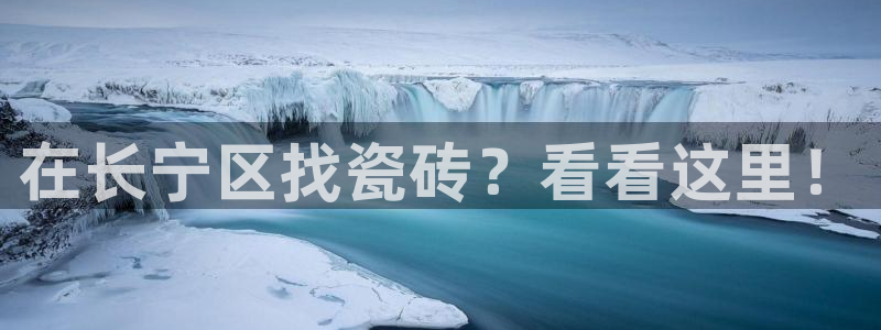 杏鑫招商总代