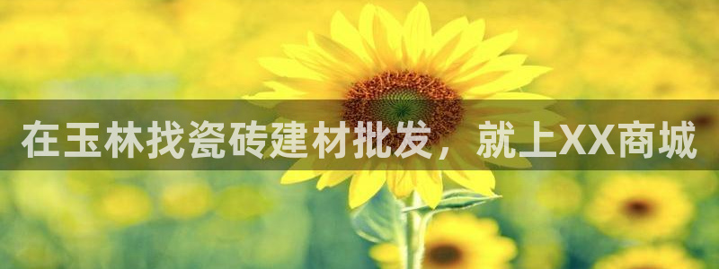 杏鑫平台平台娱乐