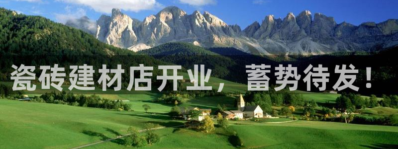 杏鑫主管