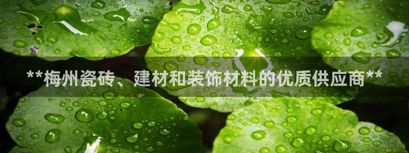 杏鑫娱乐测速