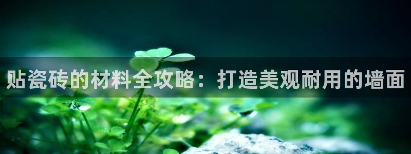 杏鑫有亏损返点吗