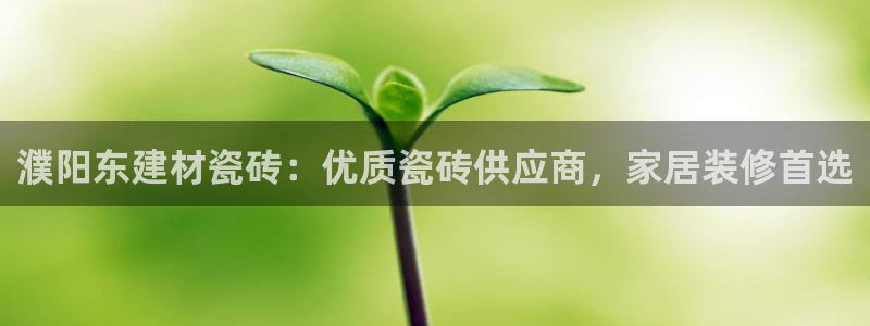 杏鑫注册登录地址