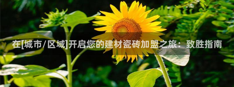杏鑫娱乐平台测速