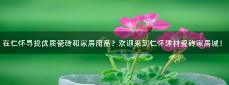 杏鑫平台代理注册要钱吗