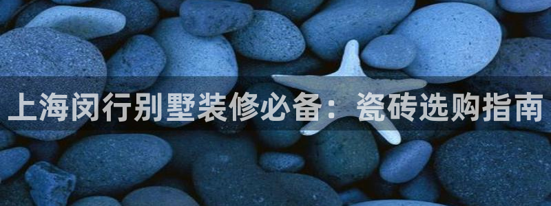 杏鑫娱乐开发团队