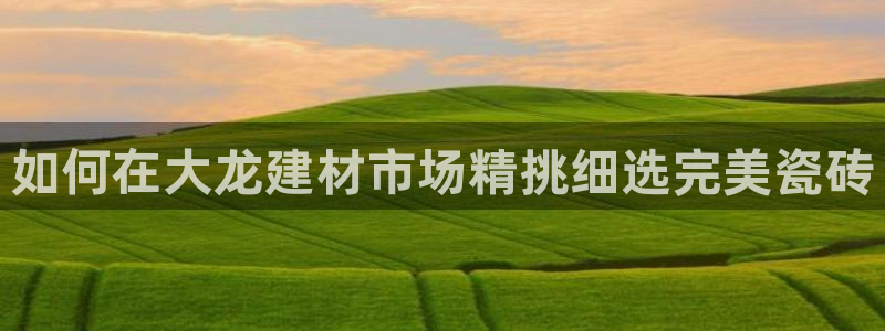 杏鑫平台号7O777