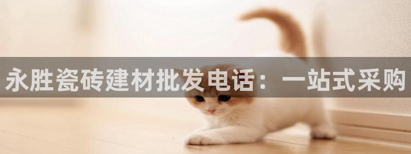 杏鑫平台招商怎么样啊