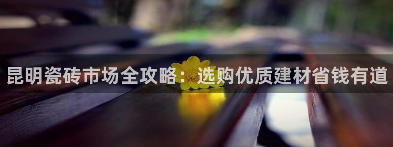 杏鑫平台代理怎么样