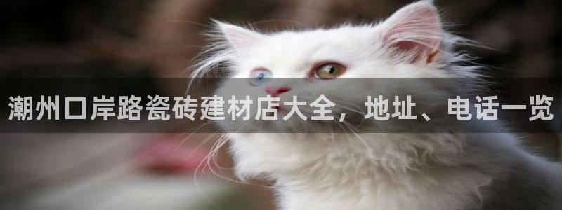 杏鑫平台代理怎么样可靠吗