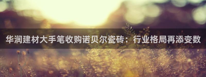 杏鑫平台代理注册流程图