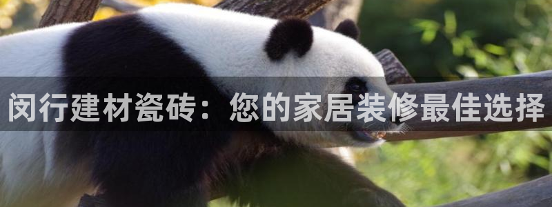 杏鑫平台注册入口在哪里找