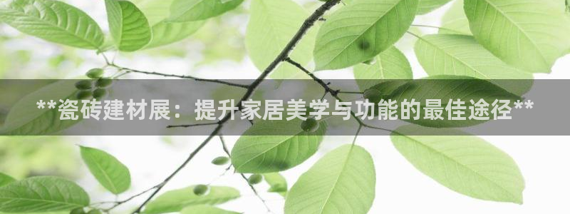 杏鑫平台代理