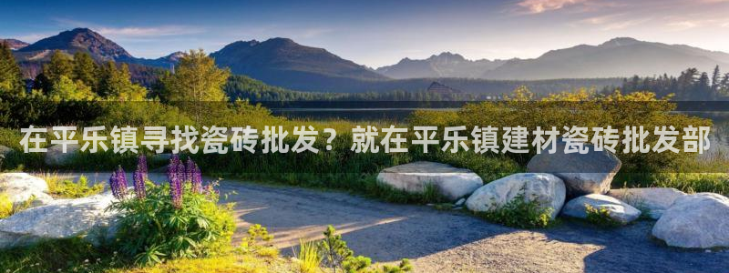 杏鑫平台招商电话