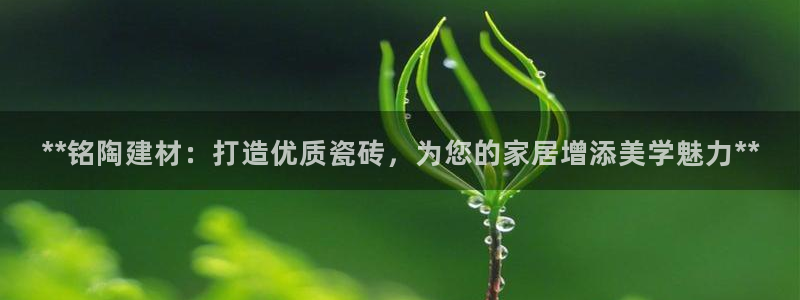杏鑫平台广7O777