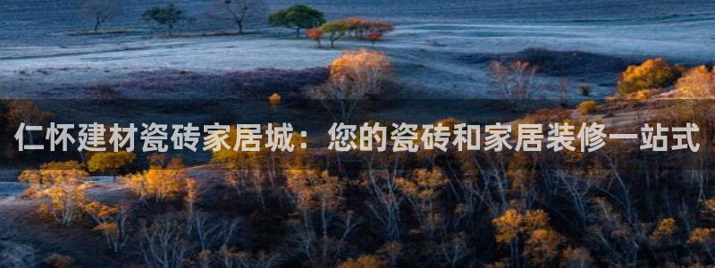 杏鑫平台平台