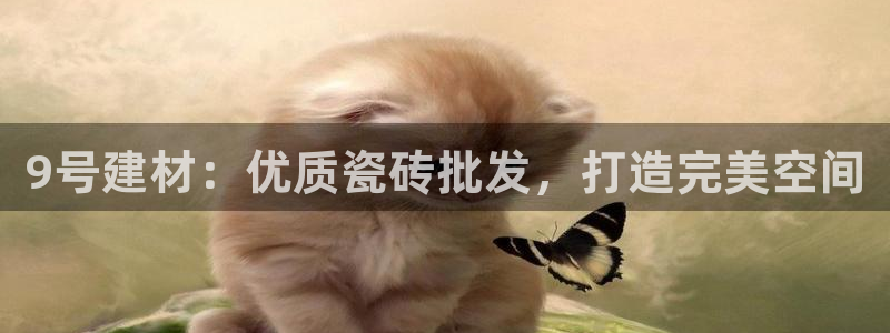 杏鑫官网最新信息新闻